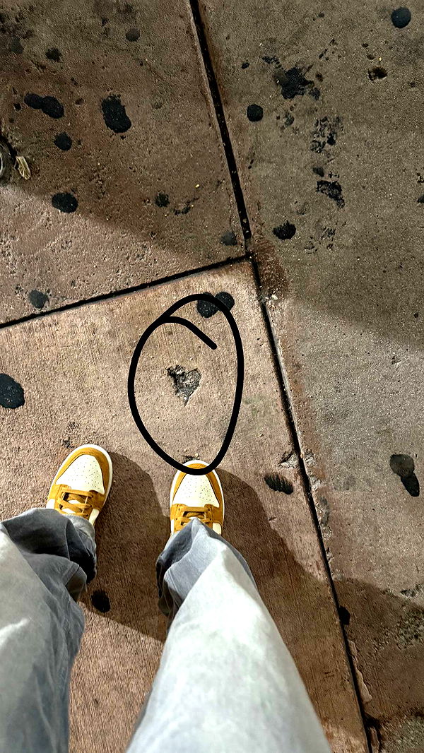 julia.filippo image ~ Altpins