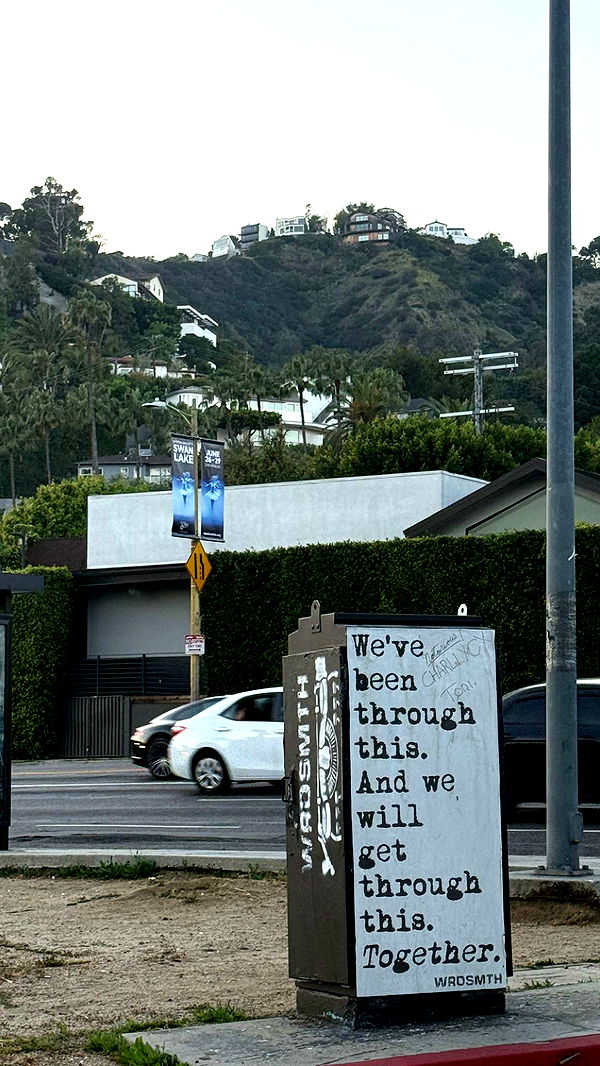 julia.filippo image ~ Altpins