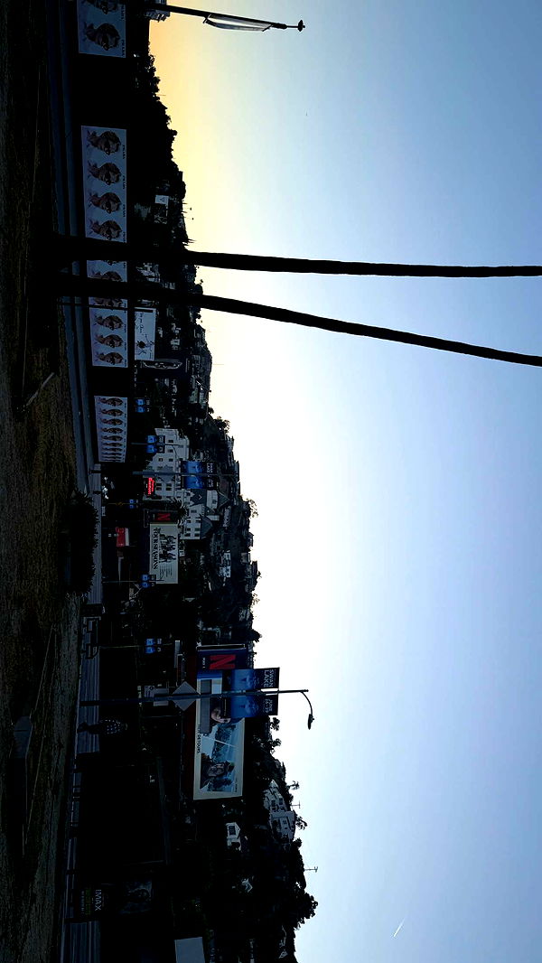 julia.filippo image ~ Altpins