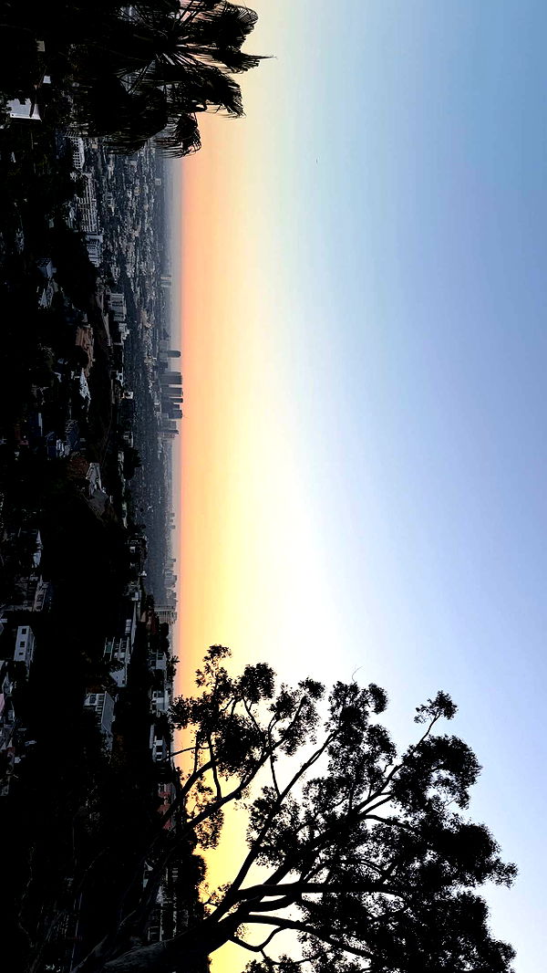 julia.filippo image ~ Altpins