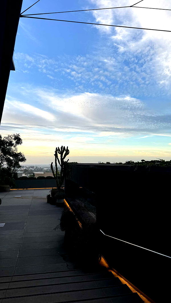 julia.filippo image ~ Altpins