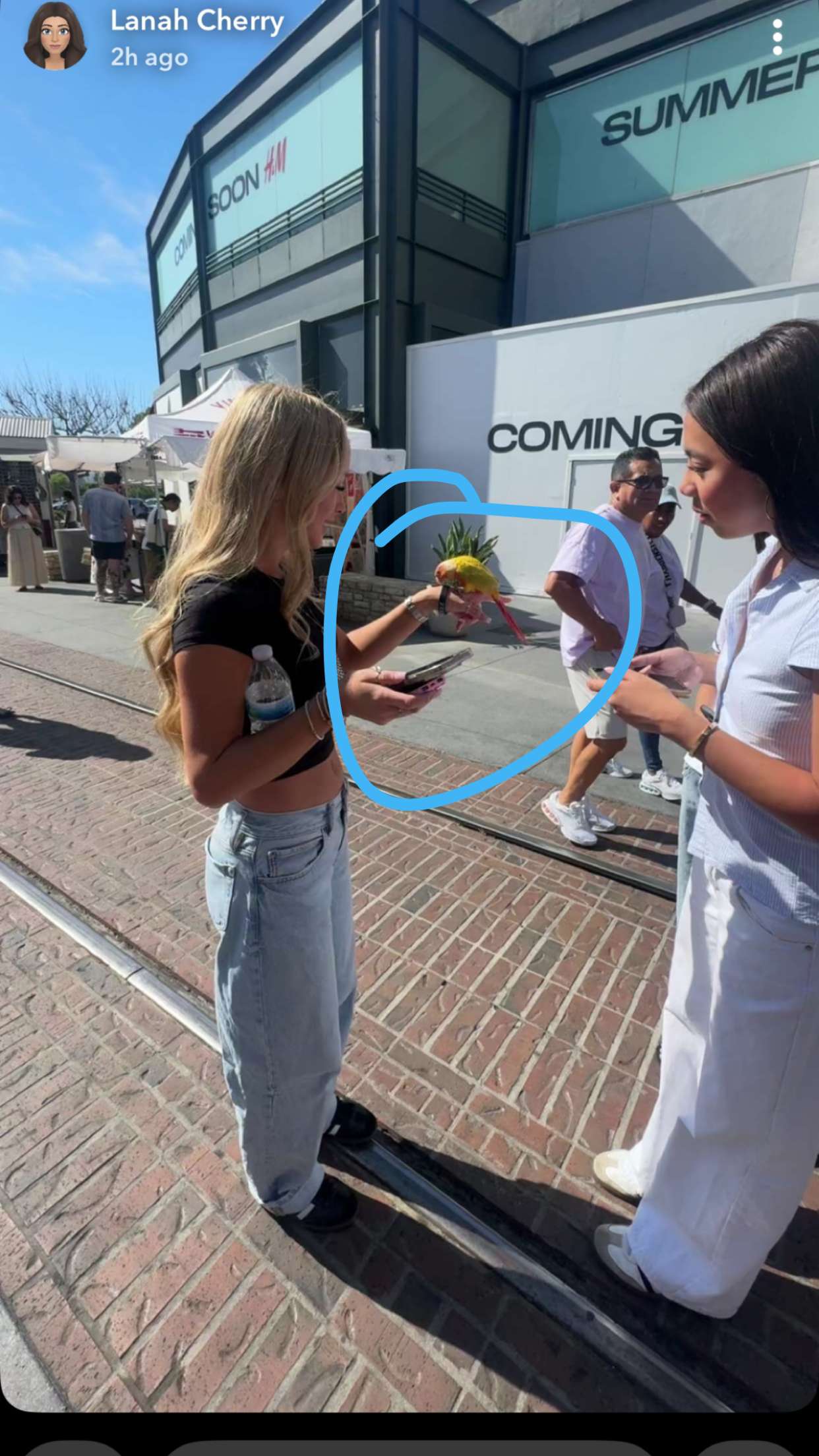 julia.filippo snapchat image archive image