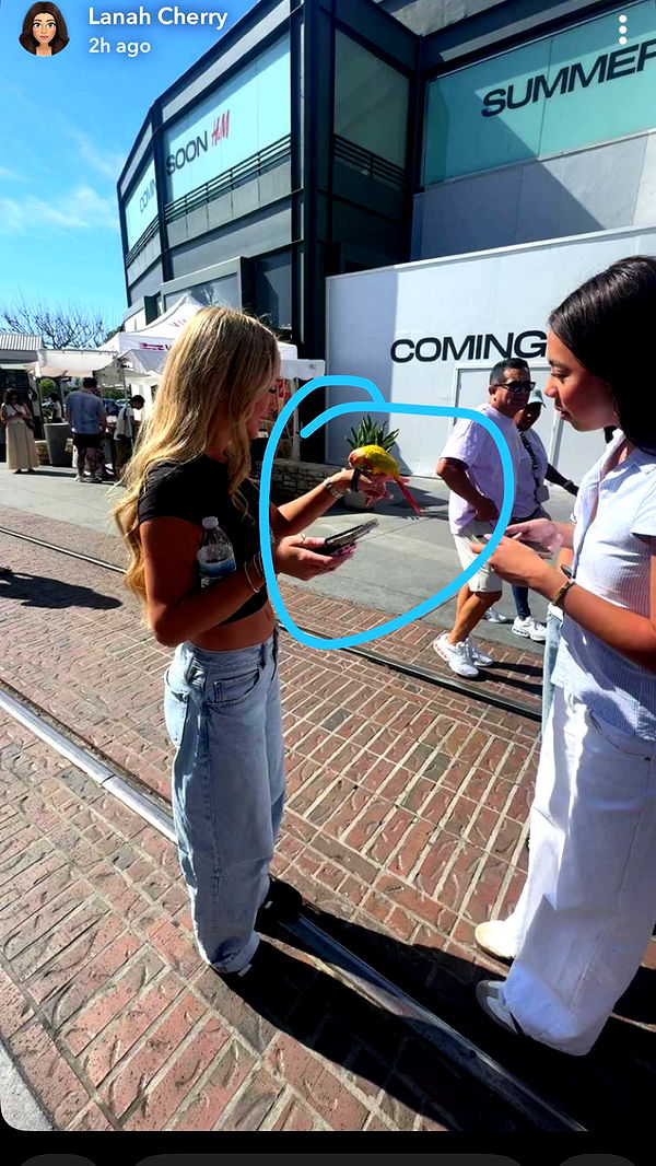 julia.filippo image ~ Altpins