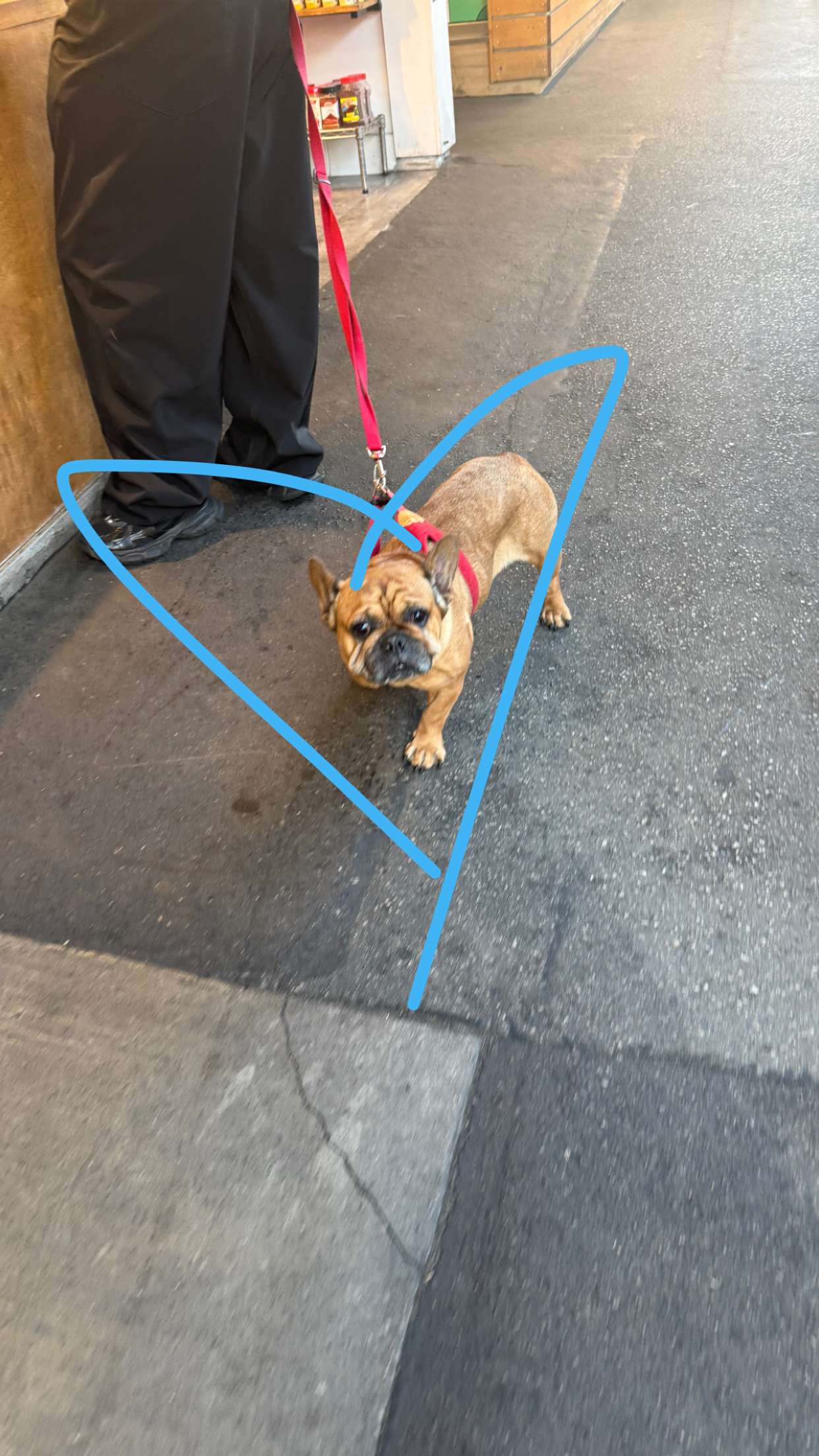 julia.filippo snapchat image archive image