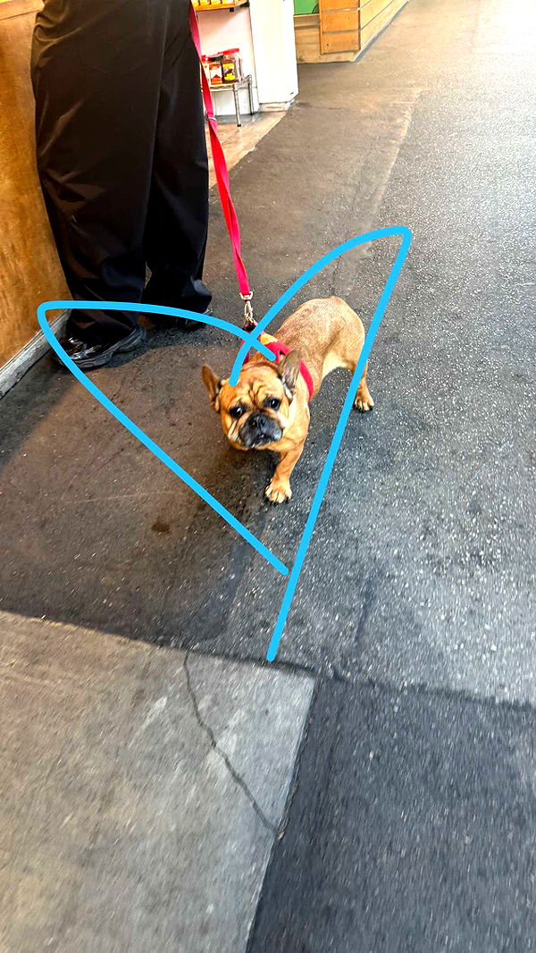 julia.filippo image ~ Altpins