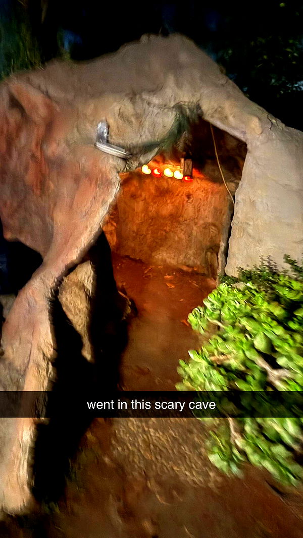 julia.filippo image ~ Altpins