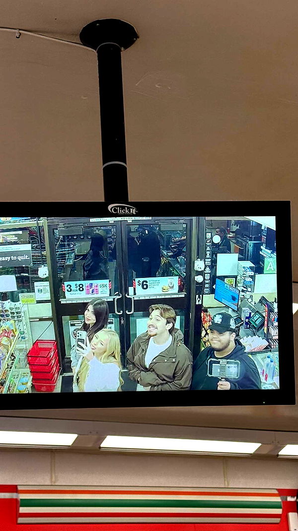 julia.filippo image ~ Altpins