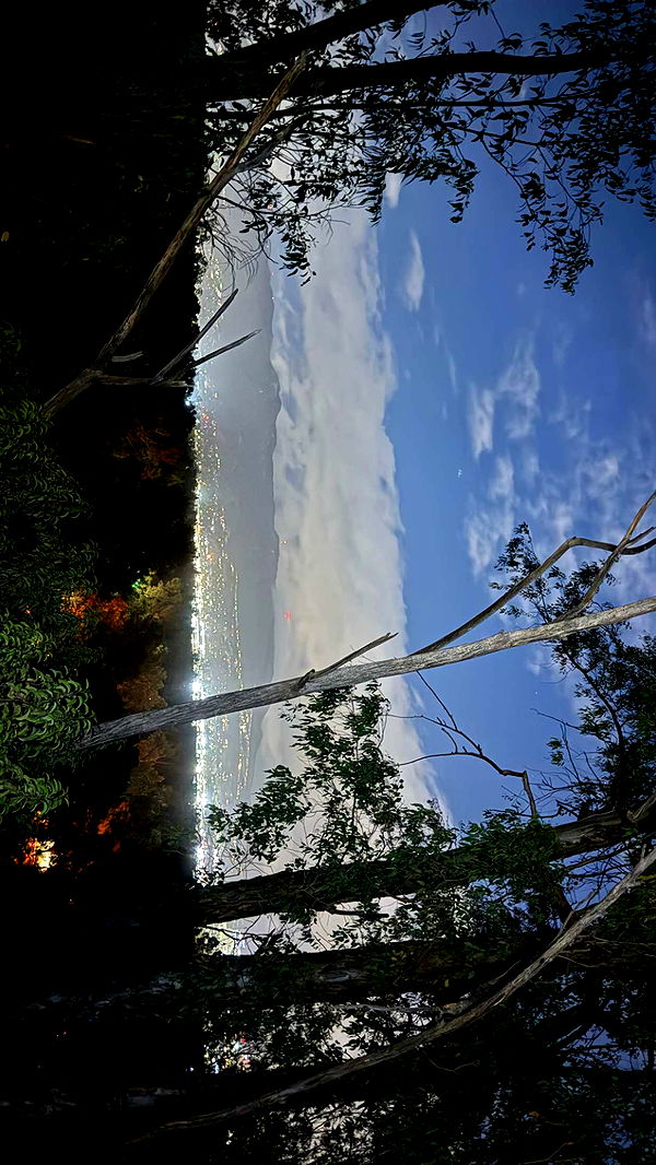 julia.filippo image ~ Altpins