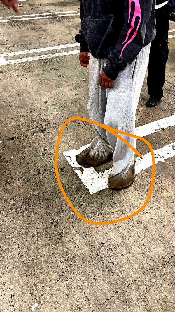 julia.filippo image ~ Altpins