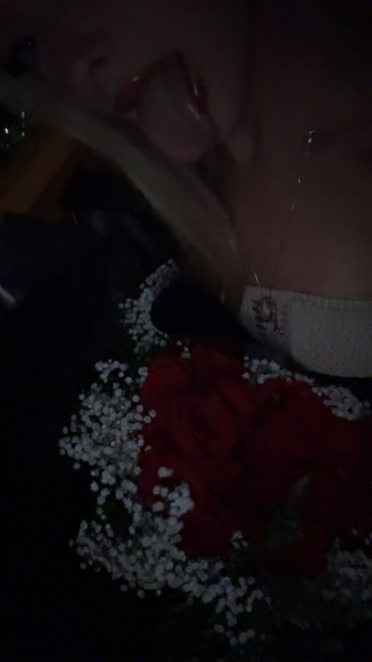 julia.filippo snapchat image archive image