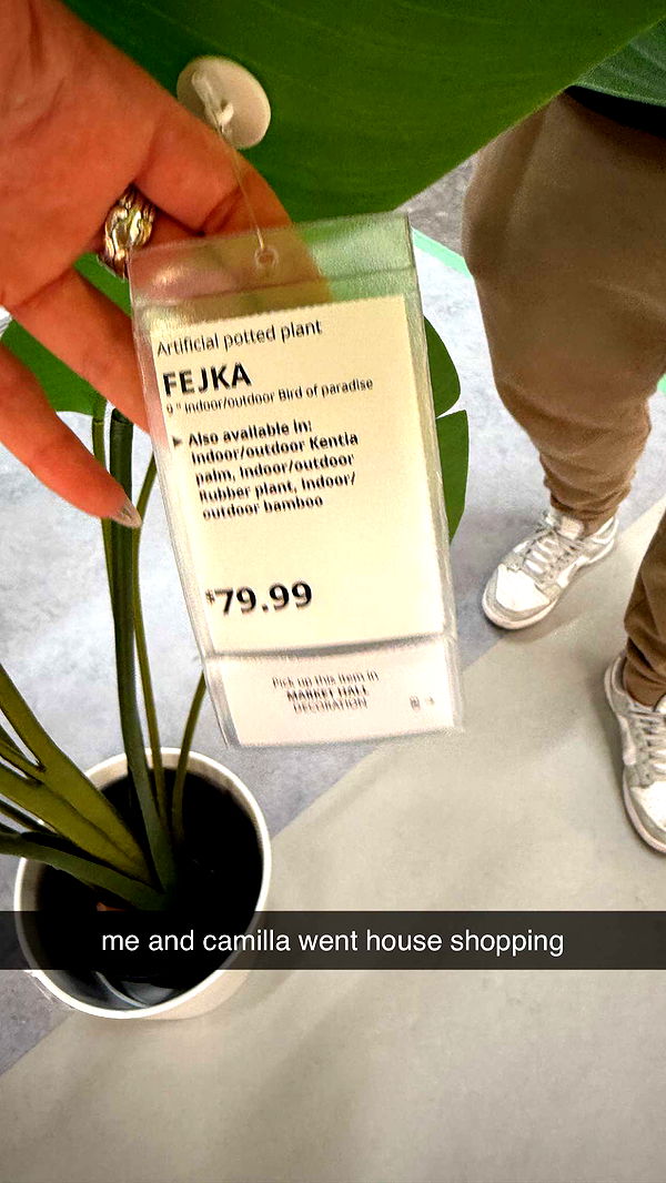 julia.filippo image ~ Altpins