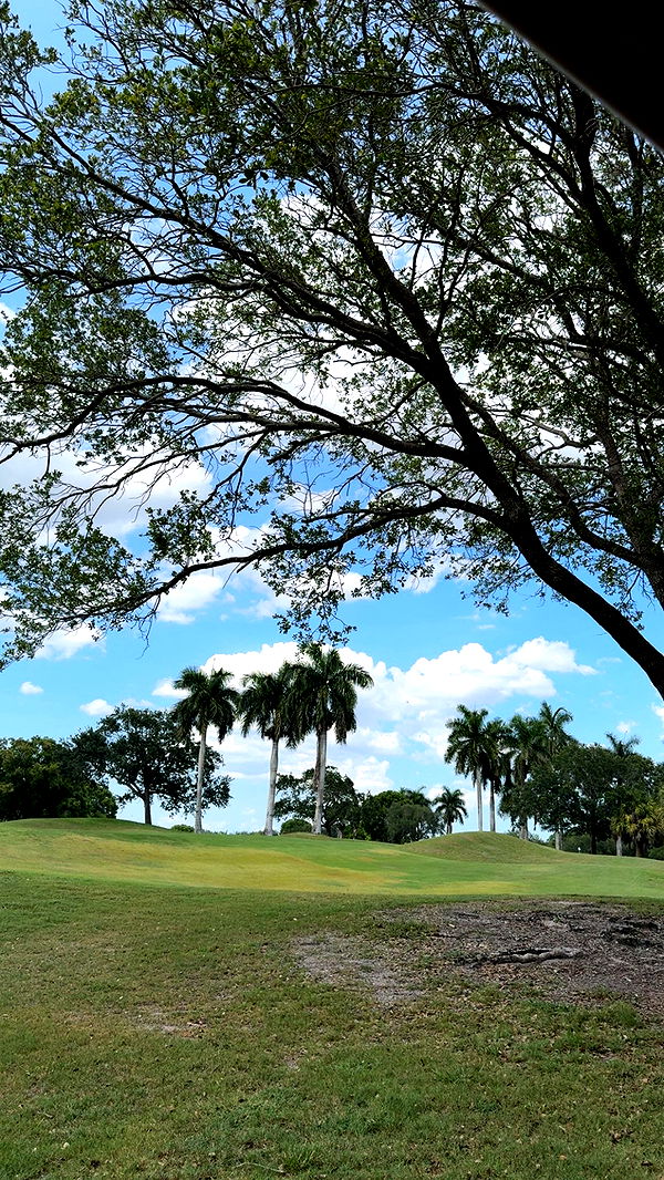 julia.filippo image ~ Altpins