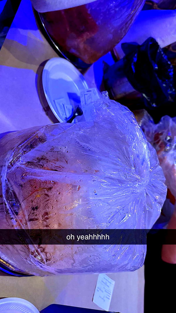 julia.filippo image ~ Altpins