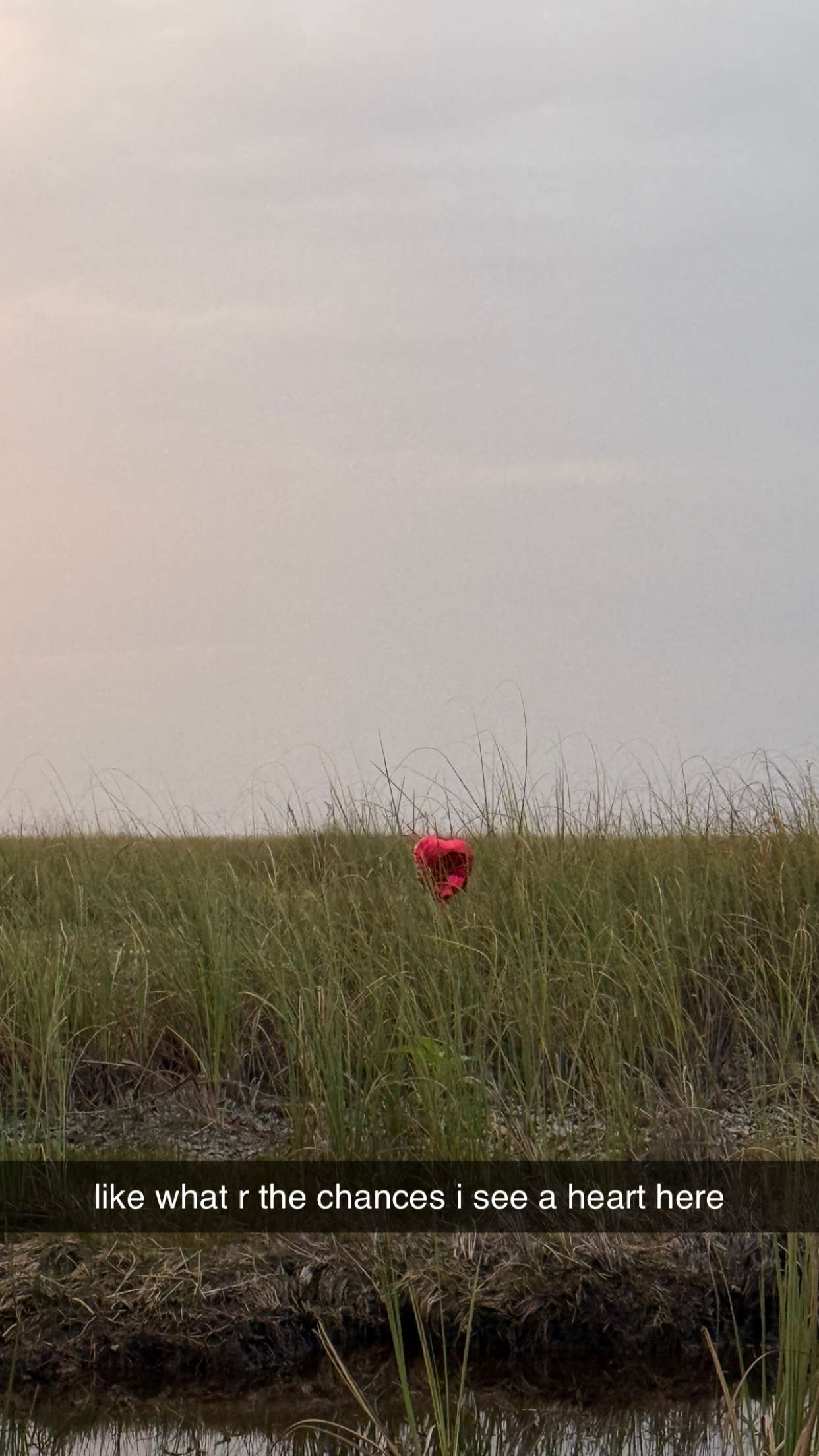 julia.filippo snapchat image archive image