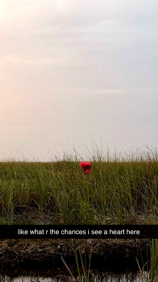 julia.filippo image ~ Altpins