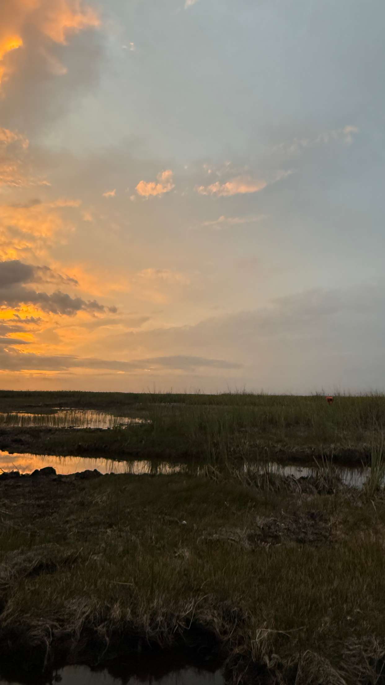 julia.filippo snapchat image archive image