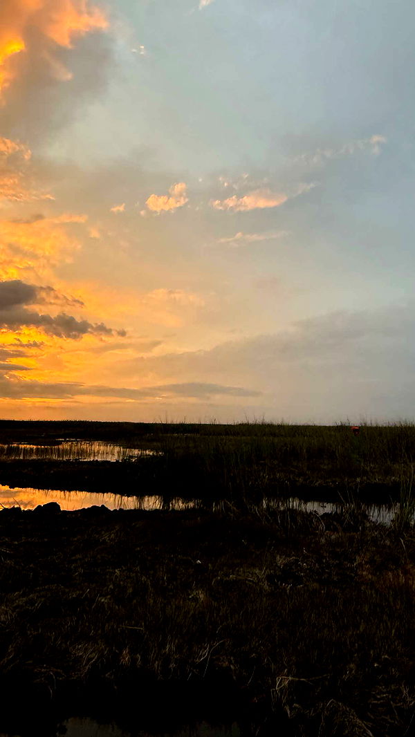 julia.filippo image ~ Altpins