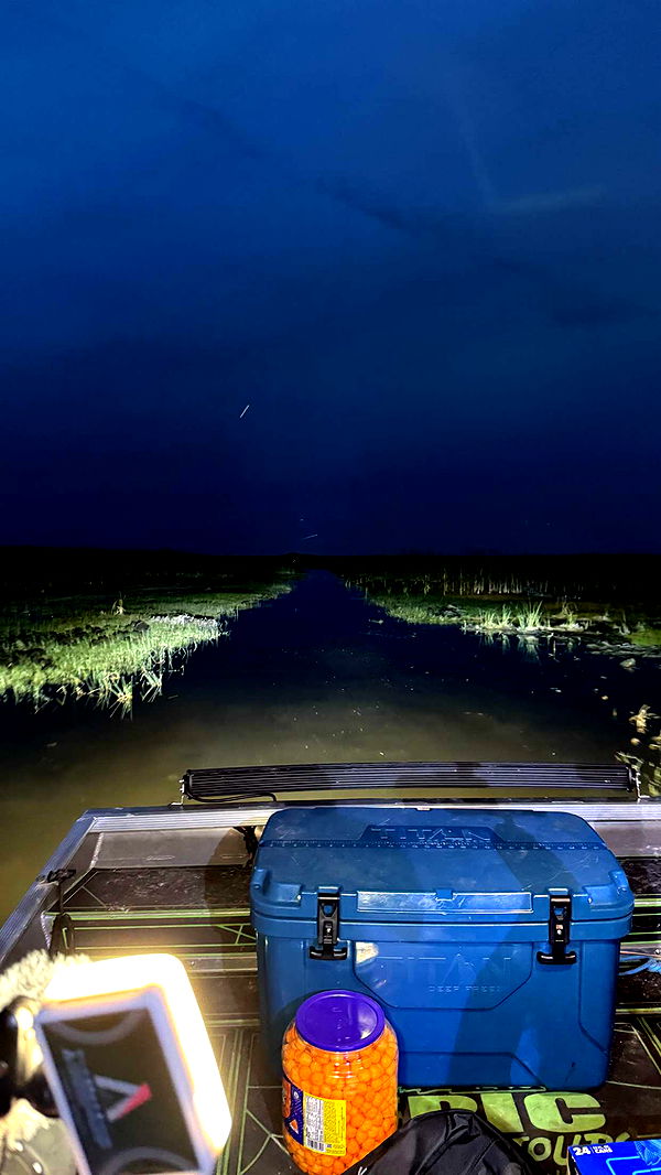 julia.filippo image ~ Altpins