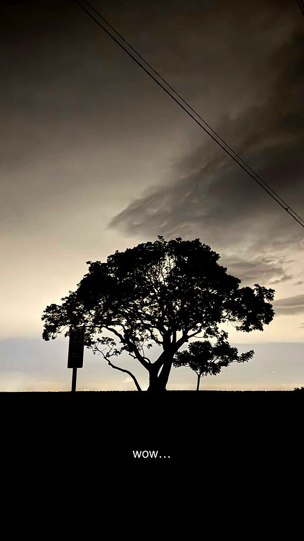 julia.filippo image ~ Altpins