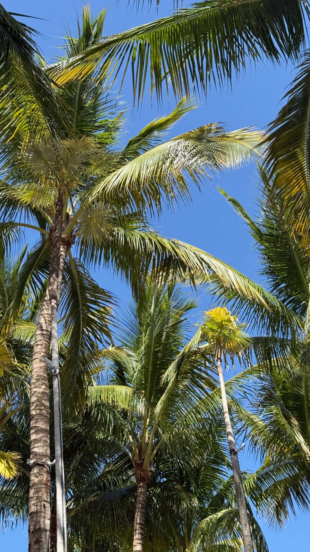 julia.filippo snapchat image archive image