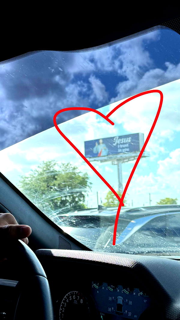 julia.filippo image ~ Altpins