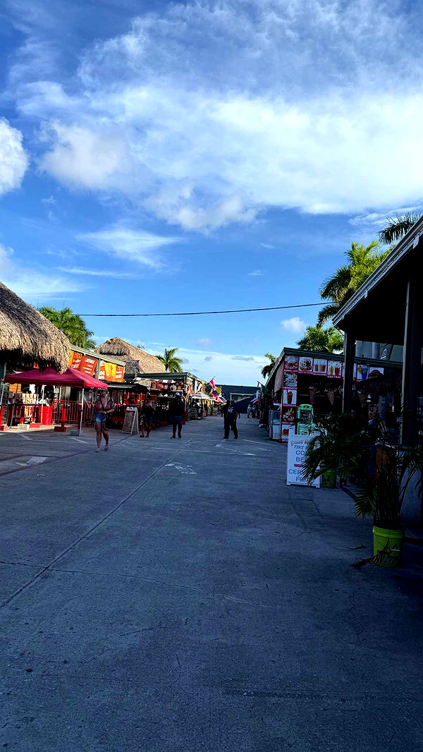 julia.filippo image ~ Altpins