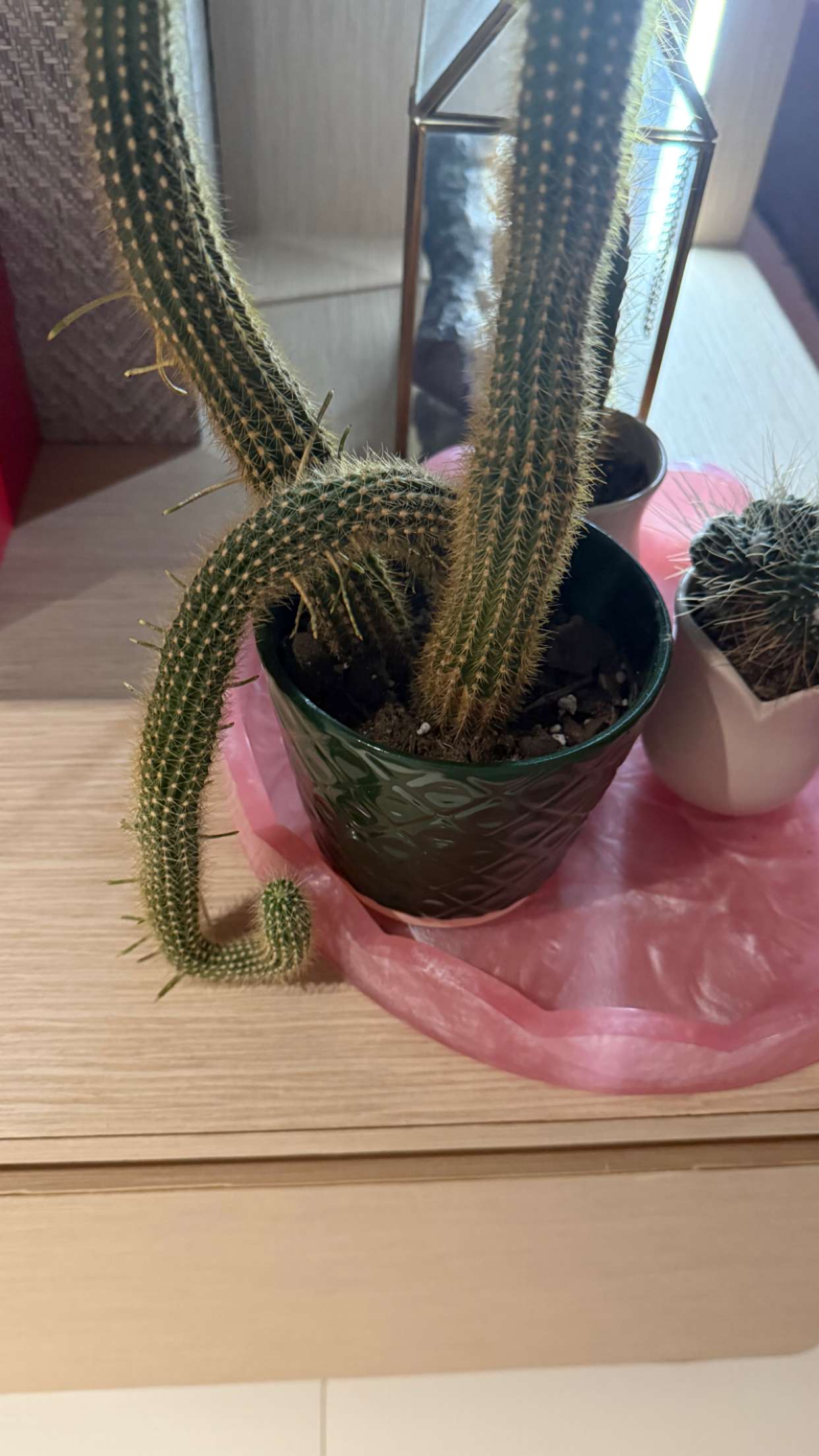 julia.filippo snapchat image archive image