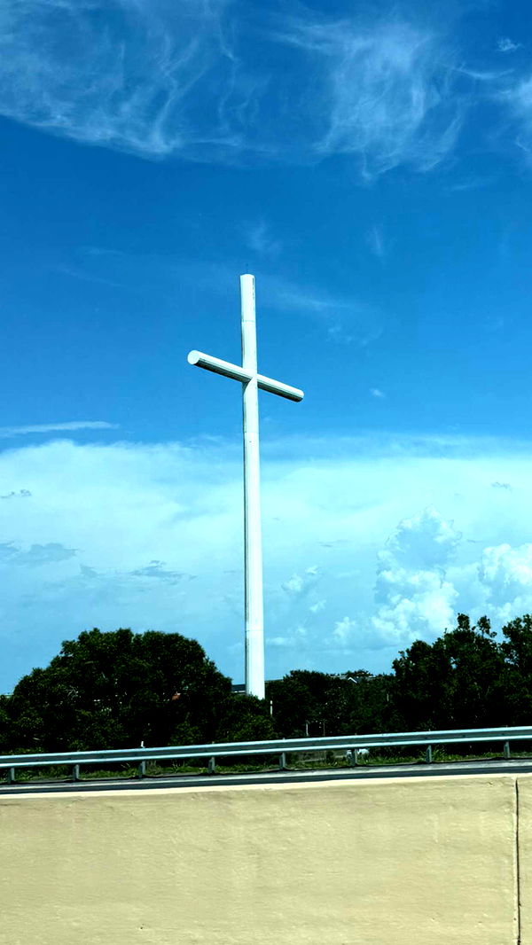 julia.filippo image ~ Altpins