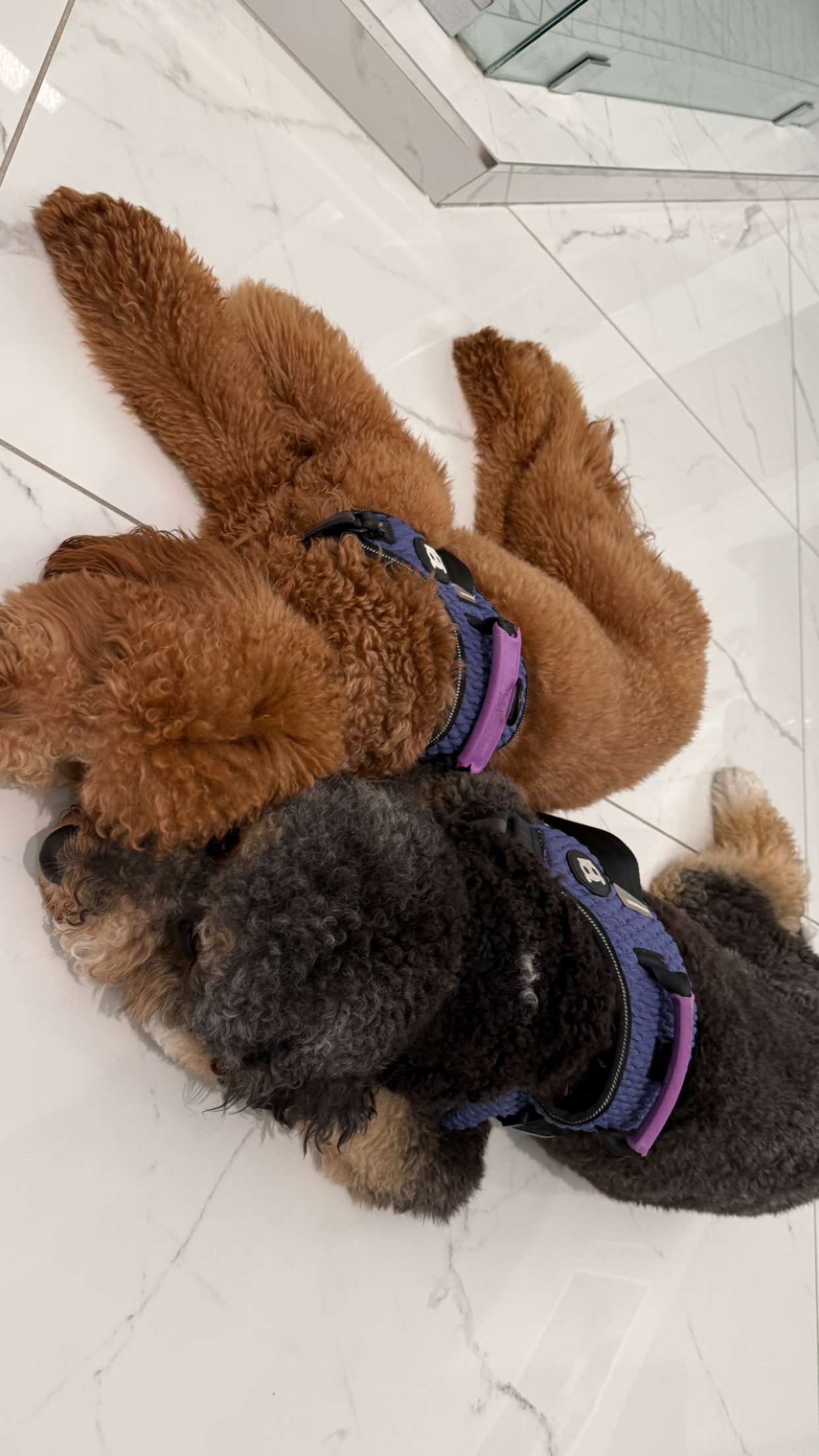 julia.filippo snapchat image archive image