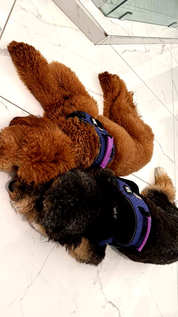 julia.filippo image ~ Altpins