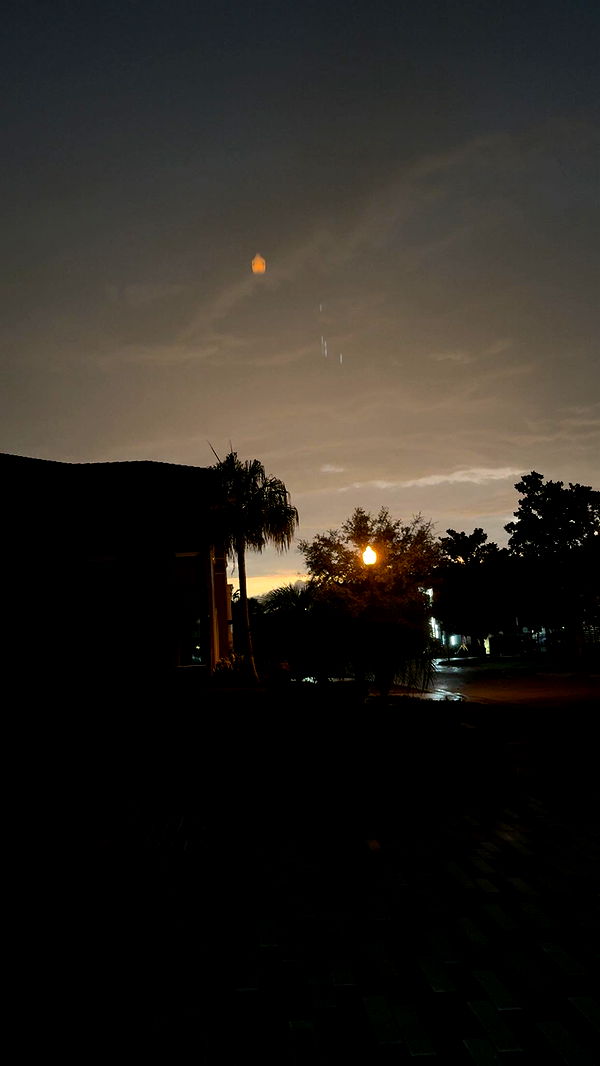 julia.filippo image ~ Altpins