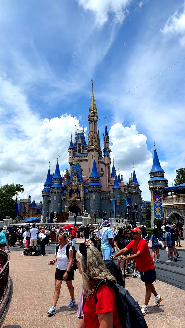 julia.filippo image ~ Altpins