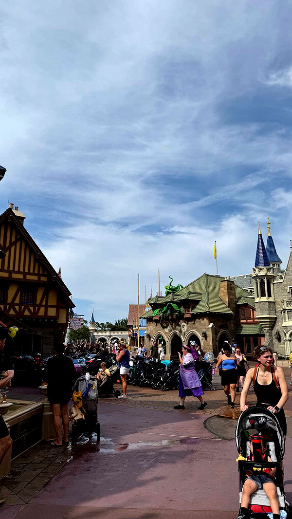 julia.filippo image ~ Altpins