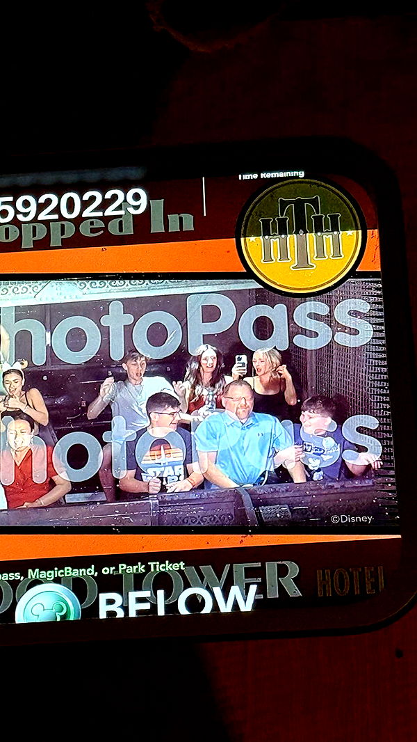 julia.filippo image ~ Altpins