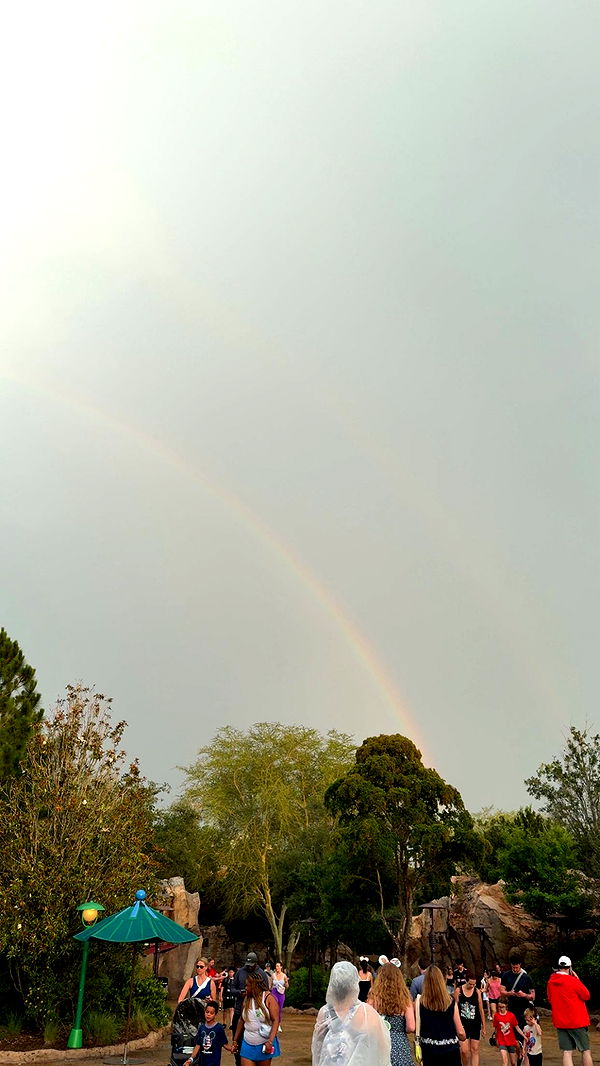 julia.filippo image ~ Altpins