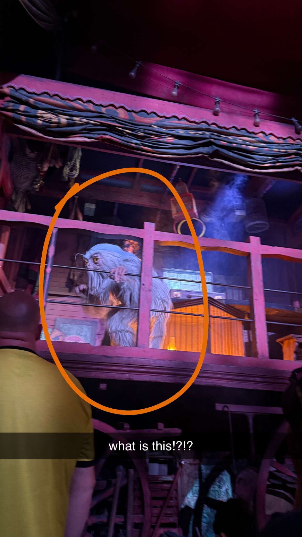 julia.filippo snapchat image archive image