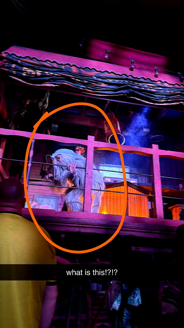 julia.filippo image ~ Altpins