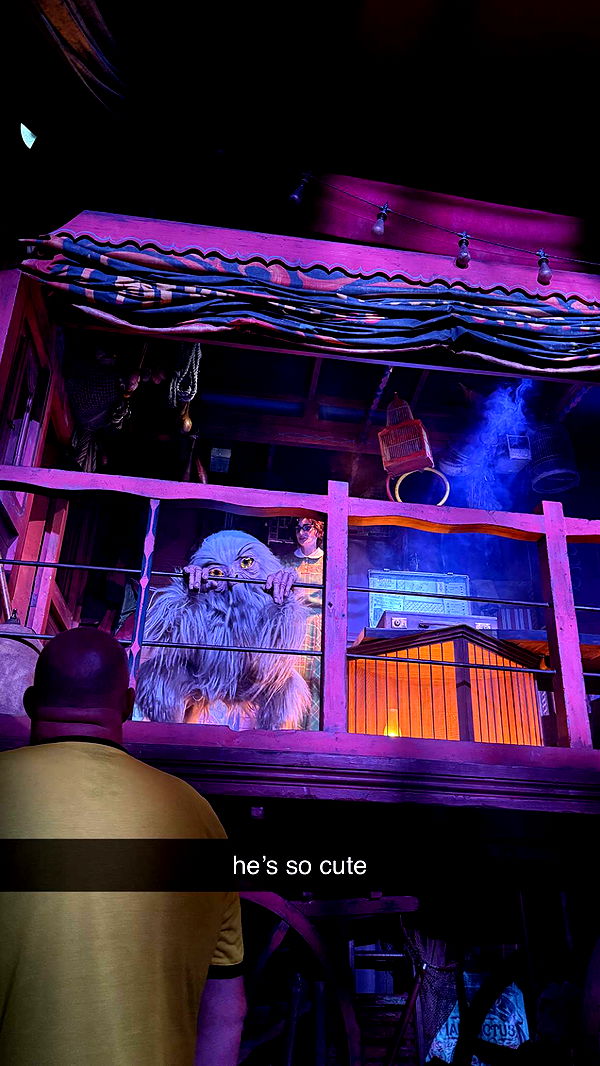 julia.filippo image ~ Altpins