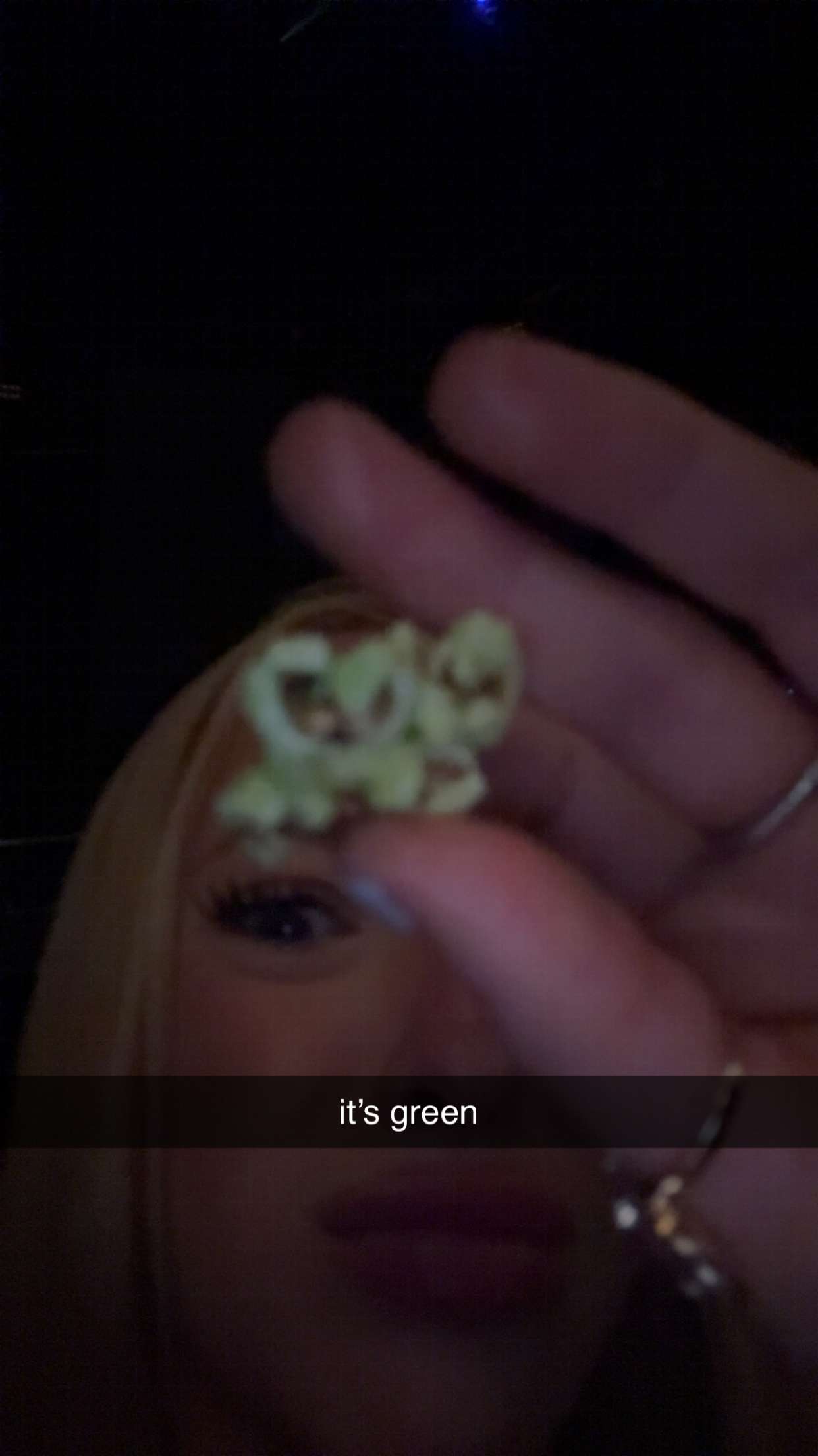 julia.filippo snapchat image archive image