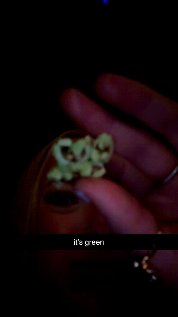 julia.filippo image ~ Altpins