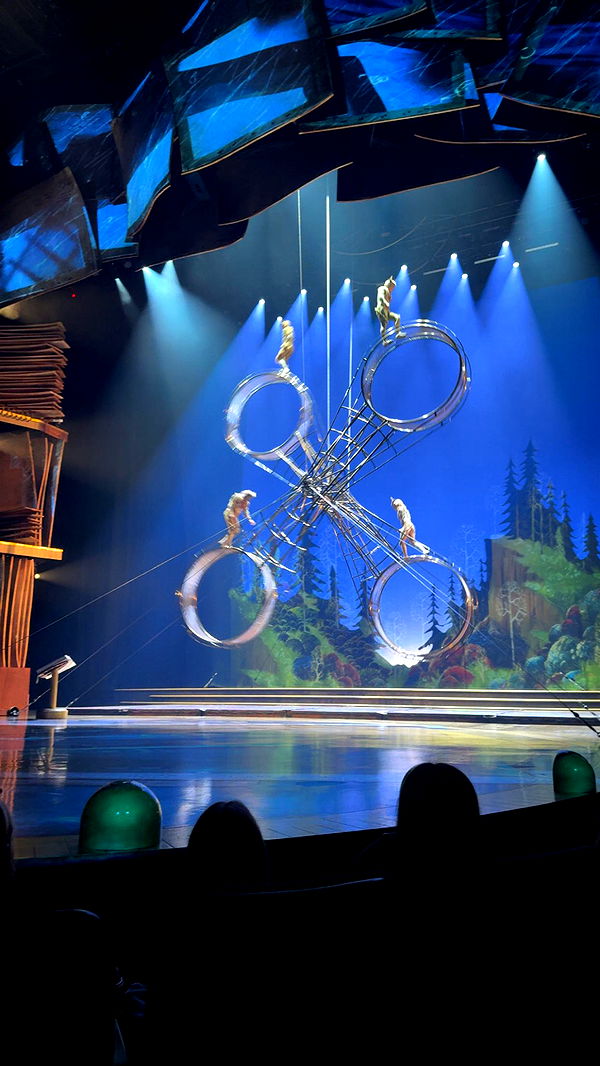 julia.filippo image ~ Altpins