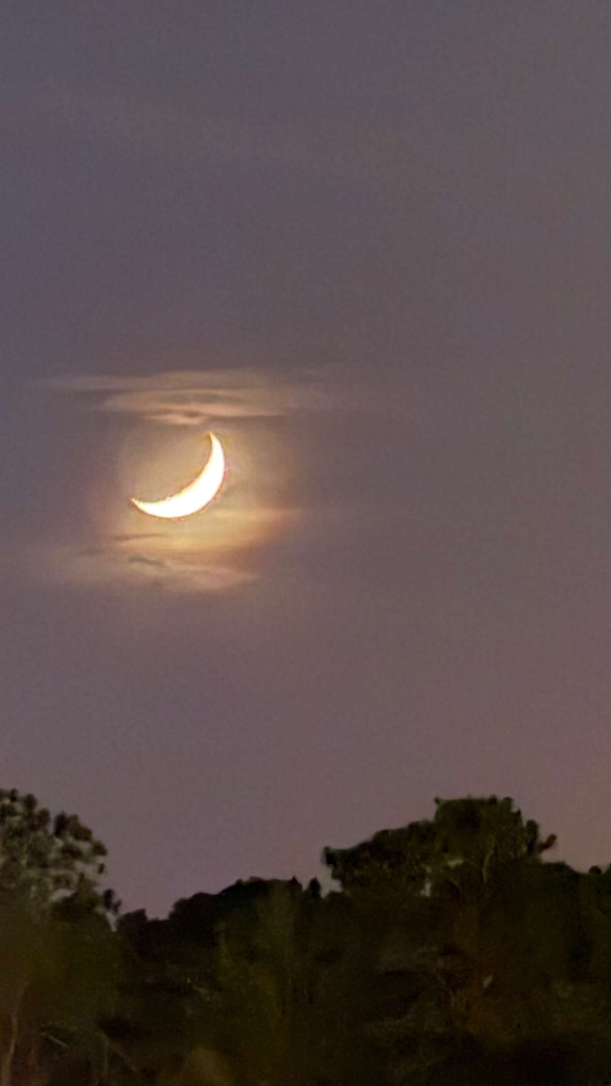 julia.filippo snapchat image archive image