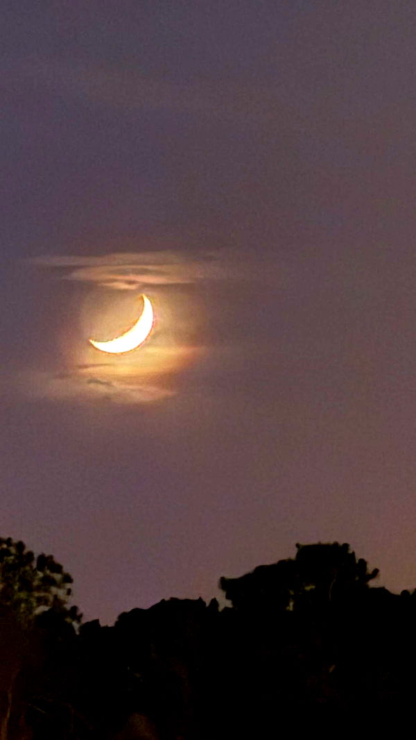 julia.filippo image ~ Altpins