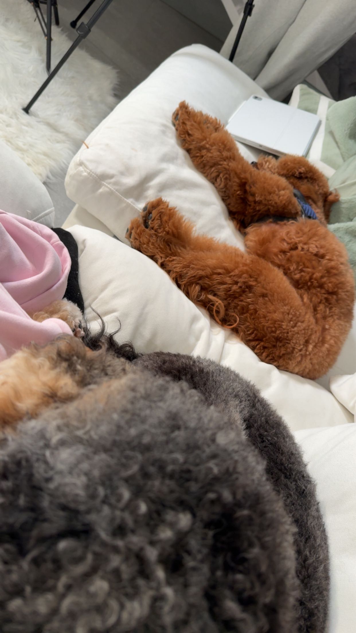 julia.filippo snapchat image archive image