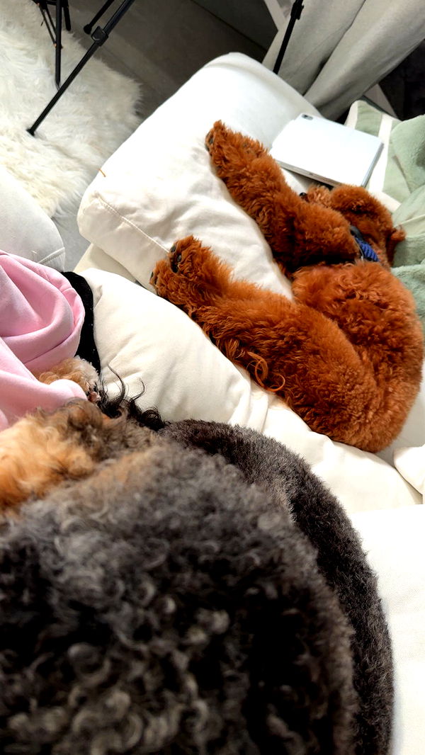 julia.filippo image ~ Altpins