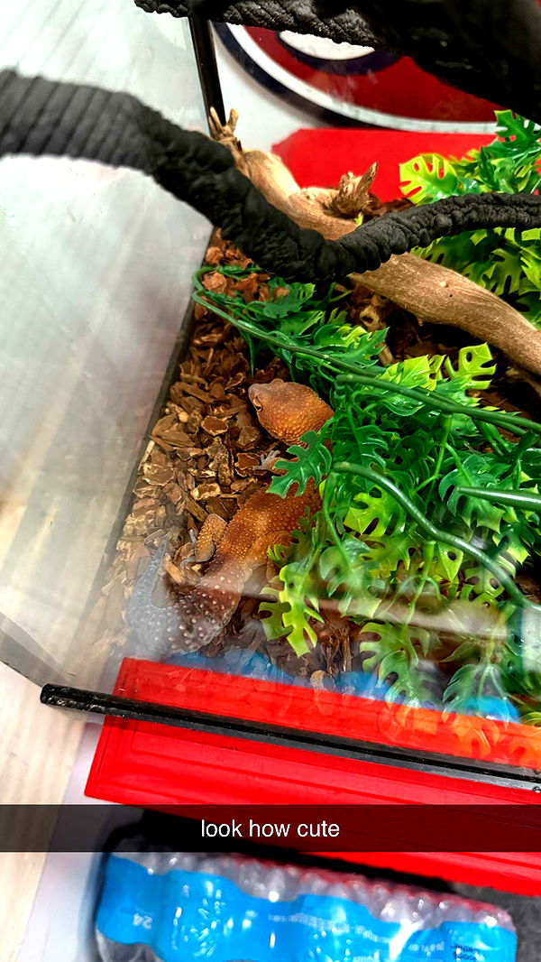 julia.filippo image ~ Altpins