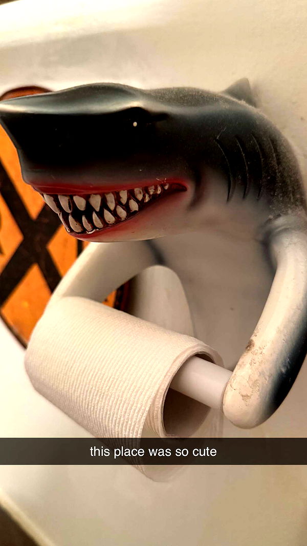 julia.filippo image ~ Altpins