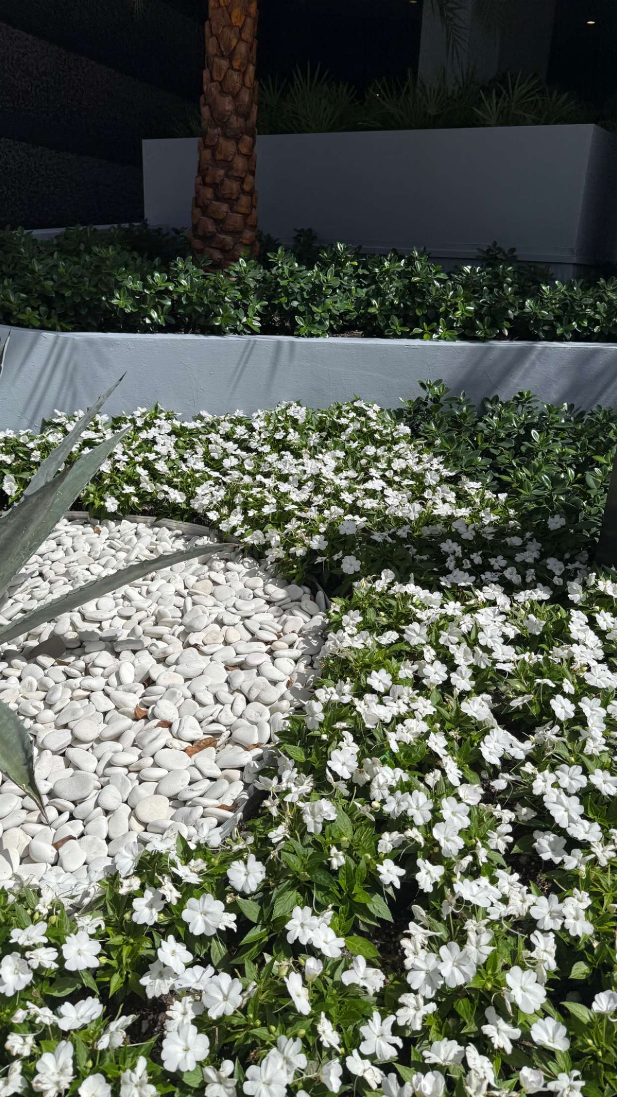 julia.filippo snapchat image archive image