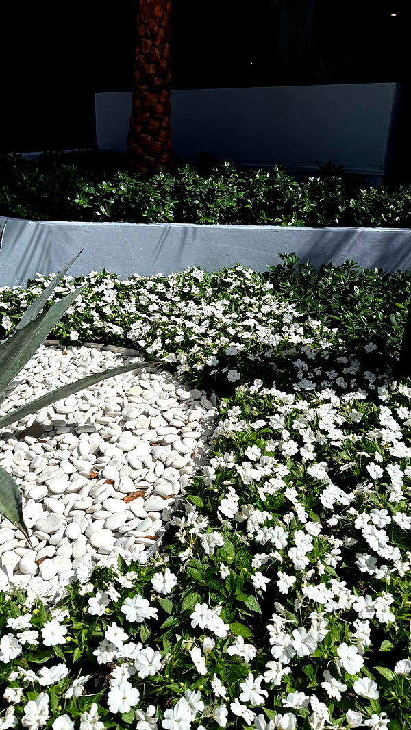 julia.filippo image ~ Altpins