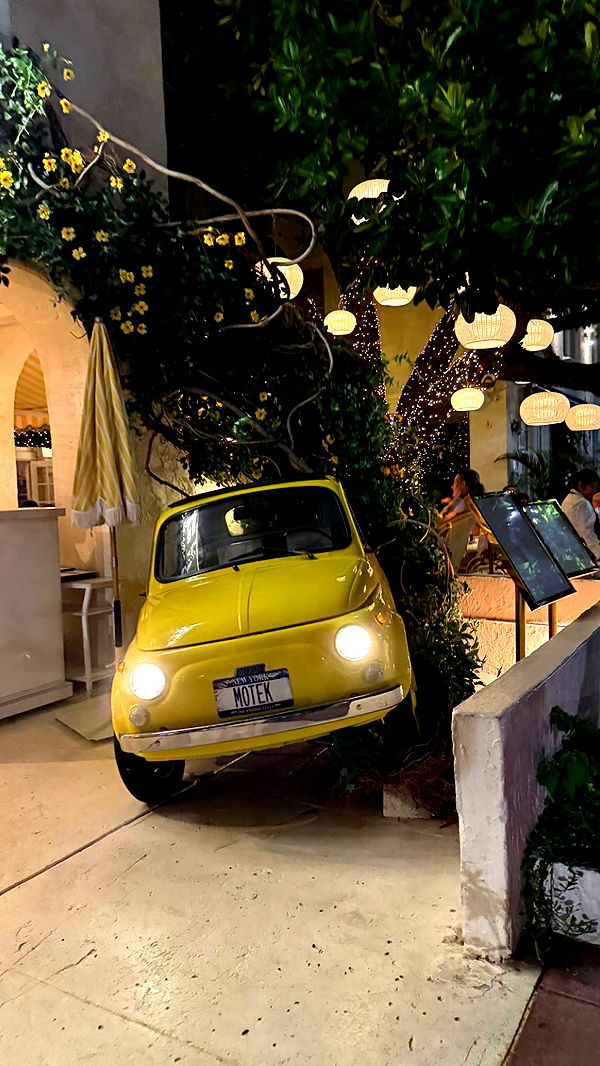 julia.filippo image ~ Altpins